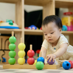 BRAIN & COGNITIVE DEVELOPMENT