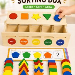 Shape sorting and color box