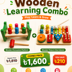 Wooden Learning Combo